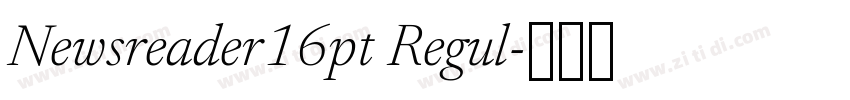 Newsreader16pt Regul字体转换 Newsreader16pt Regul字体转换
